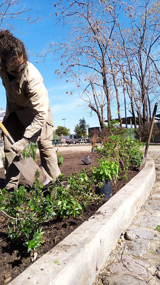 Jardín Urbano - Imágen de gelería